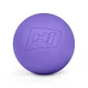 Image 1 for Силиконовый массажный мяч 63 мм Hop-Sport HS-S063MB фиолетовый