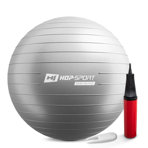 Фитбол Hop-Sport 65см серебристый + насос 2020