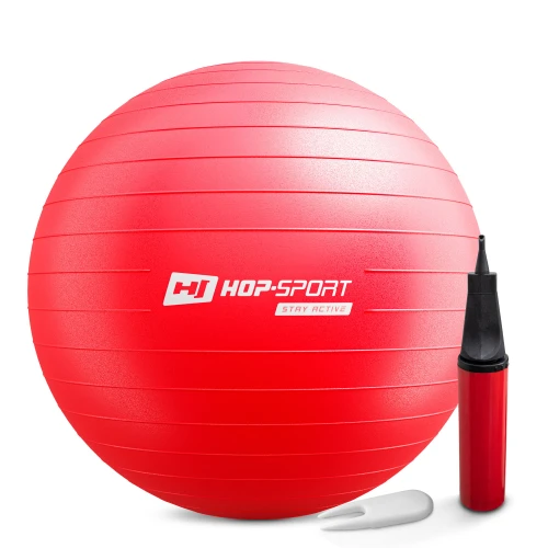 Фитбол Hop-Sport 65 см красный + насос 2020 РАСПРОДАЖА