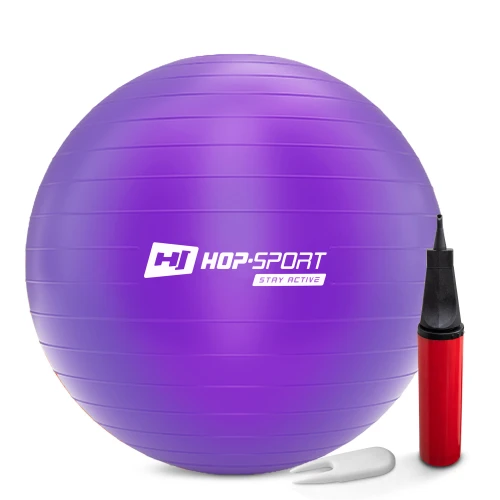 Фитбол Hop-Sport 65см фиолетовый + насос 2020