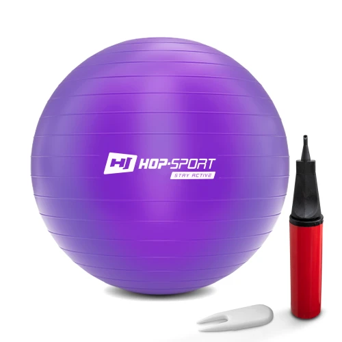Фитбол Hop-Sport 75см фиолетовый + насос 2020
