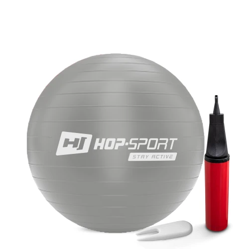 Фитбол Hop-Sport 55см серебристый + насос 2020