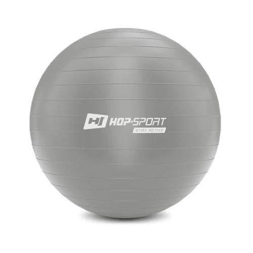 Фітбол Hop-Sport 75см сріблястий + насос 2020