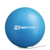 Фитбол Hop-Sport 25см голубой