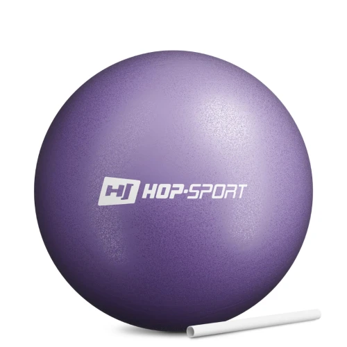 Фітбол Hop-Sport 25см фіолетовий