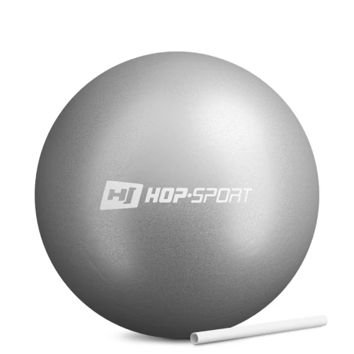 Фітбол Hop-Sport 25см сріблястий