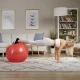Image 7 for Фитбол массажный Hop-Sport 65см красный + насос