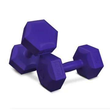 Гантели для фитнеса композитные Hop-Sport HS-C040DS 2х4 кг фиолетовый