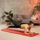 Image 8 for Коврик для йоги Hop-Sport HS-NB015GM NBR 1,5см ярко-красный