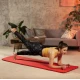 Image 4 for Коврик для йоги Hop-Sport HS-NB020GM NBR 2см ярко-красный