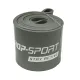 Image 5 for Резинка для фітнесу Hop-Sport 55-137кг HS-L101RR сіра