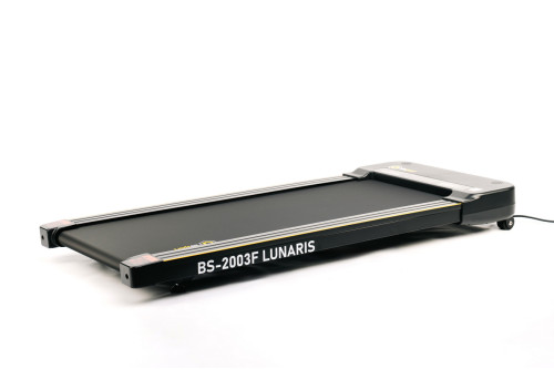 FLAVIA BITOSSI イノシシ 猪 【B】 FLAVIA BITOSSI イノシシ 猪 【B】 FLAVIA BITOSSI イノシシ 猪