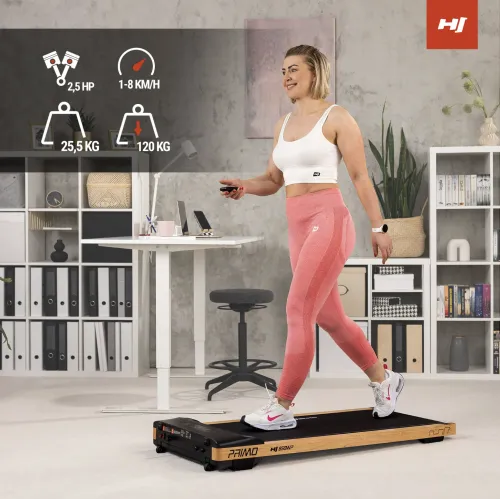 Высокий обучающий потенциал, представленный в эстетической форме