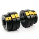 Image 2 for Набор Besport PowerPro гантели 2х31кг со скамьей WB-002