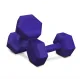Image 1 for Гантели для фитнеса композитные Hop-Sport HS-C040DS 2х4кг фиолетовый