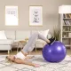 Image 7 for Фітбол масажний Hop-Sport 65см фіолетовий + насос