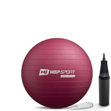 Фітбол Hop-Sport 45см HS-R045YB сливовий + насос