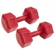 Image 2 for Гантели для фитнеса композитные Hop-Sport HS-C050DH 2х5кг