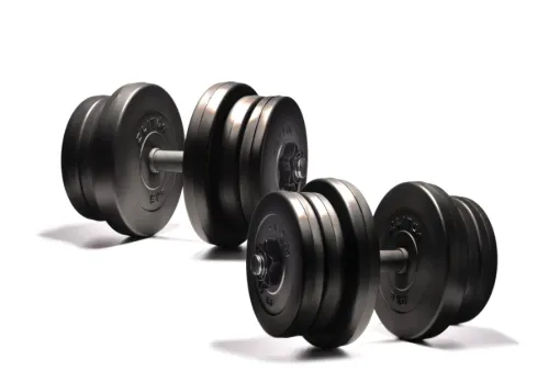 Комплект гантелей 2х21кг