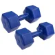 Image 2 for Гантели для фитнеса композитные Hop-Sport HS-C060DH 2х6кг
